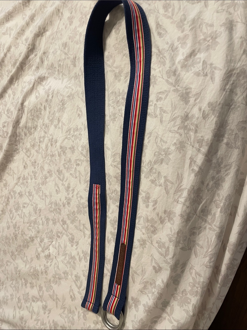 Ralph Lauren Polo Jeans Navy Webbing Belt Rainbow Stripe and Brown Leather Trim